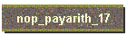 nop_payarith_17
