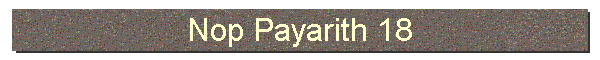 Nop Payarith 18